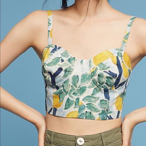 Anthropologie Tops - WHIT Quinn Corset Crop Top
